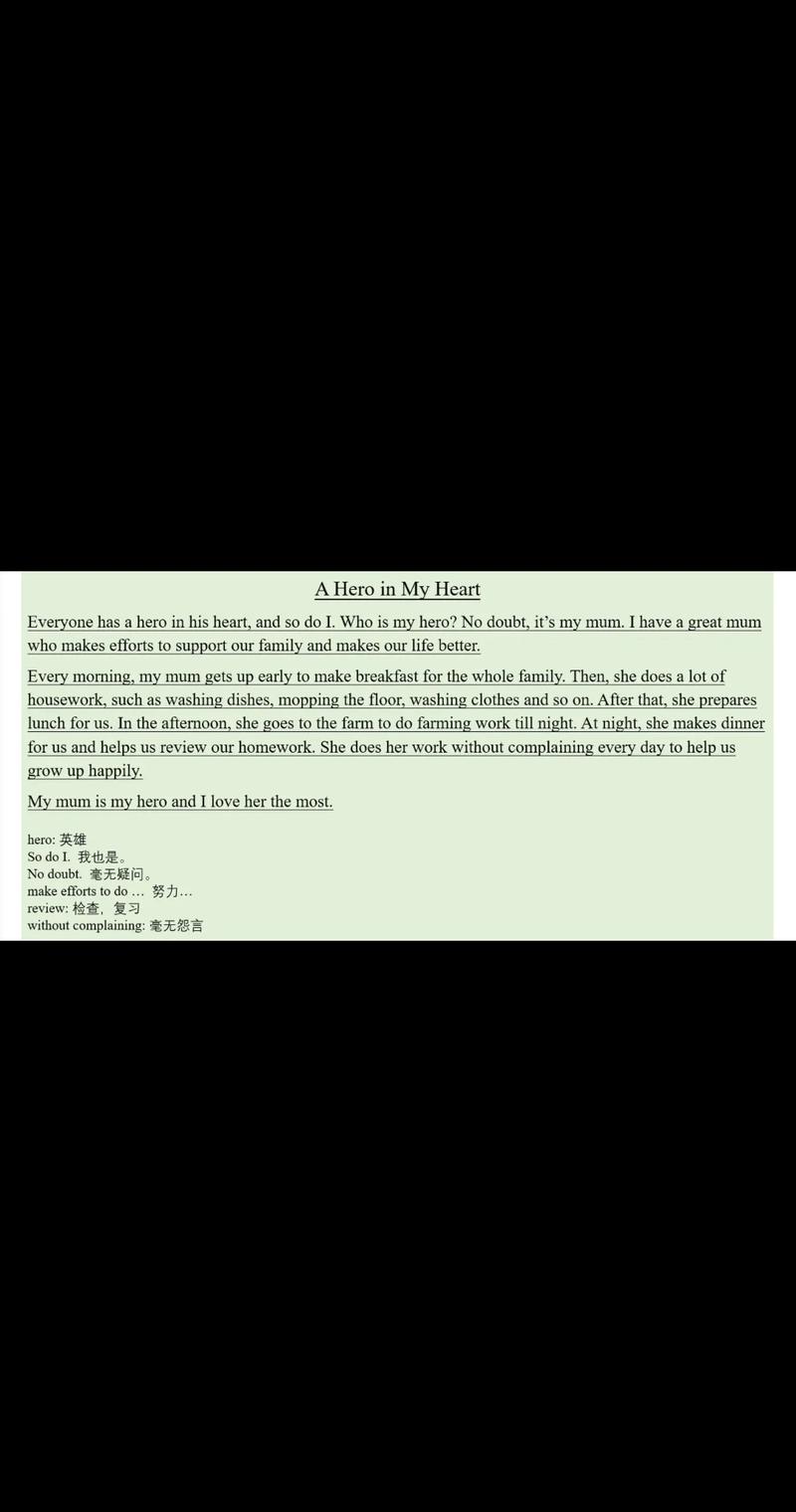 my hero 英语作文初中