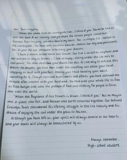 my hero 英语作文初中