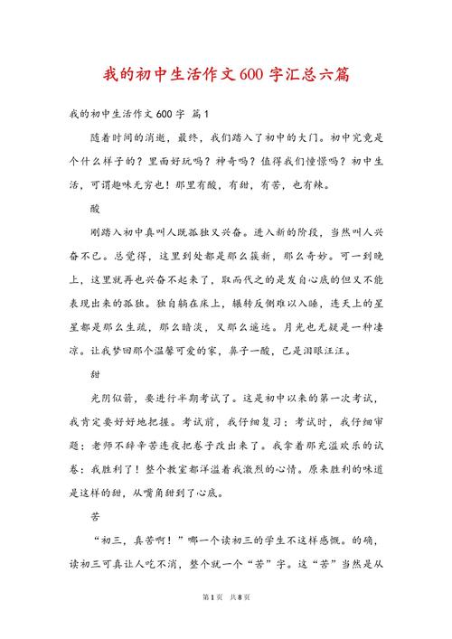 我难忘的初中生活作文600字
