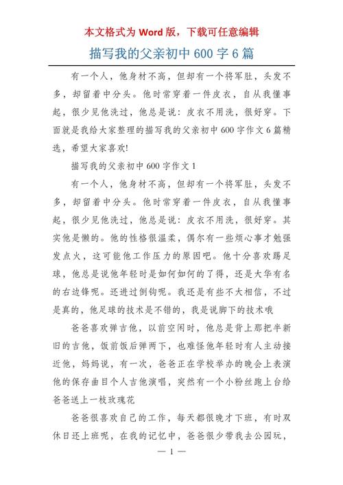 我的父亲作文600字初中作文