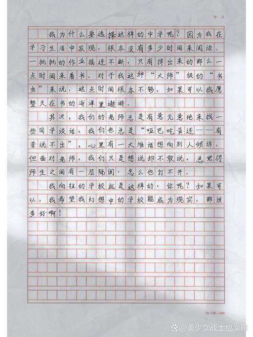 我向往的初中生活作文600字
