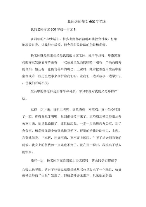 我的初中语文老师作文600字