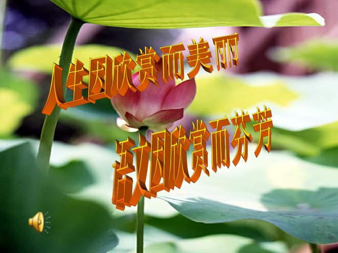 初中作文系列指导课件ppt