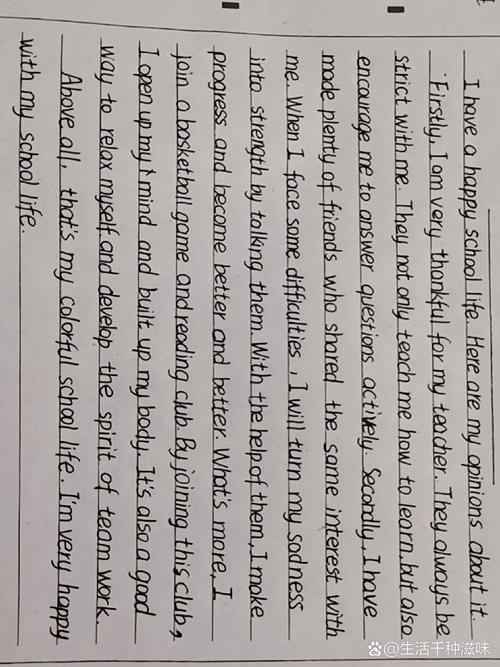 初中my life作文高中