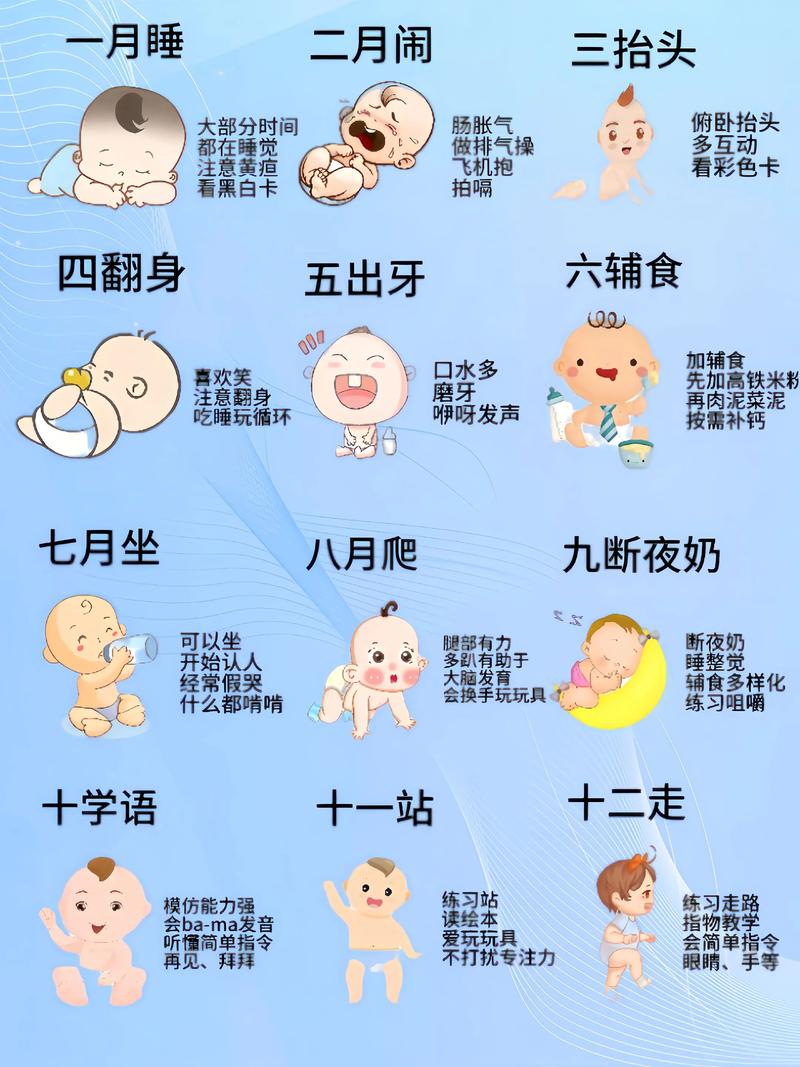 1岁10个月的宝宝早教