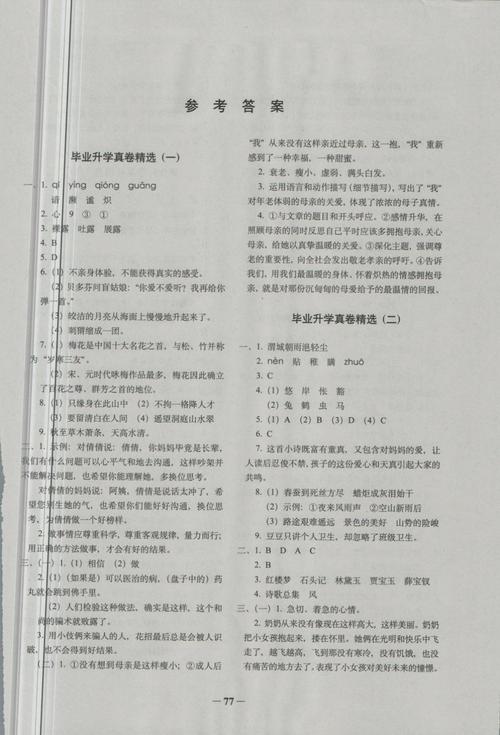 小学毕业升学全真模拟试卷答案