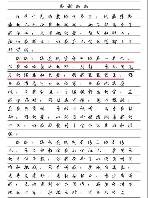 感谢母亲的作文600字初中