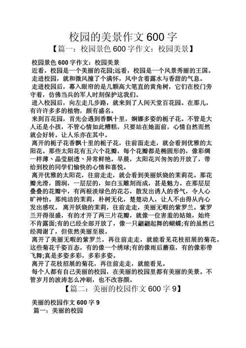 初中作文最美的风景600字