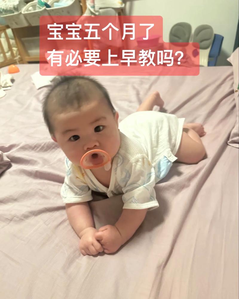 五个月的宝宝该怎样早教