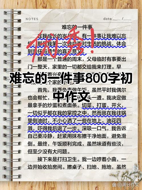 最难忘的一件事800字初中