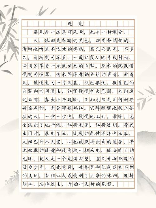 初中记叙文800字优秀作文