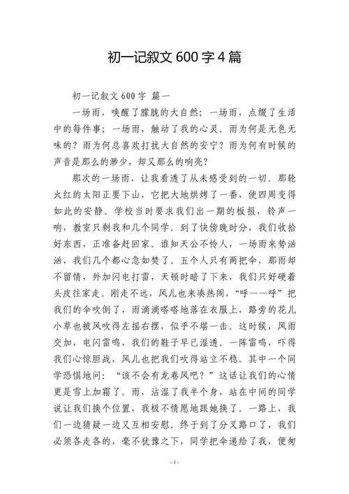 优秀作文600字初中记叙文