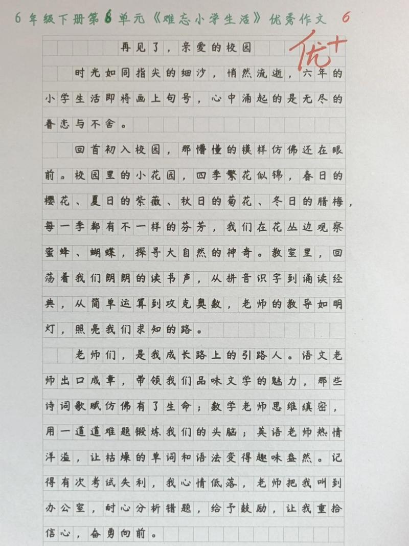 难忘的小学生活作文400字