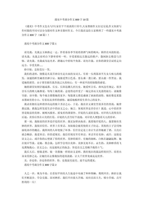 初中中考作文范文800字