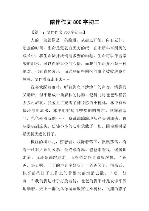 初中中考作文范文800字