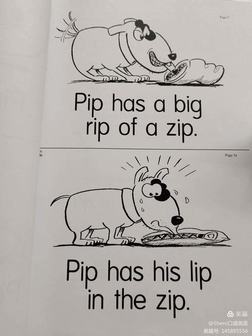 小学生英语怎么说pupil