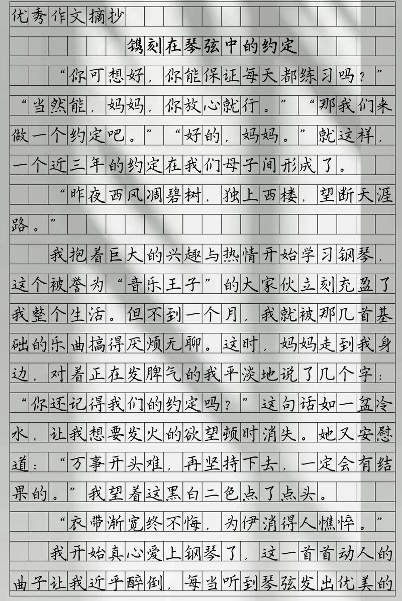 介绍钢琴500字作文初中