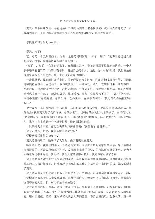 初中描写夏天作文600字