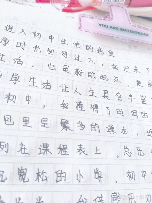 初中入学感受500字作文
