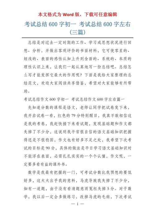 考试感悟作文600字初中