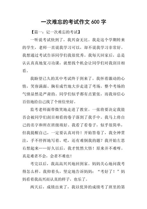 考试感悟作文600字初中