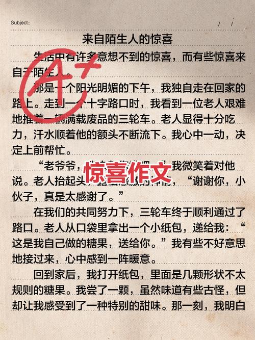 惊喜作文700字初中作文