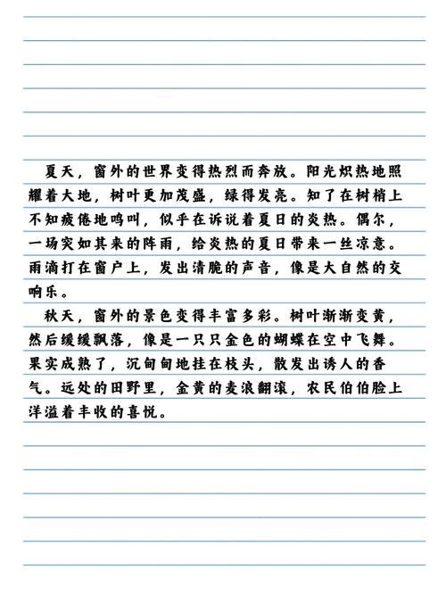 初中作文《窗外》600字