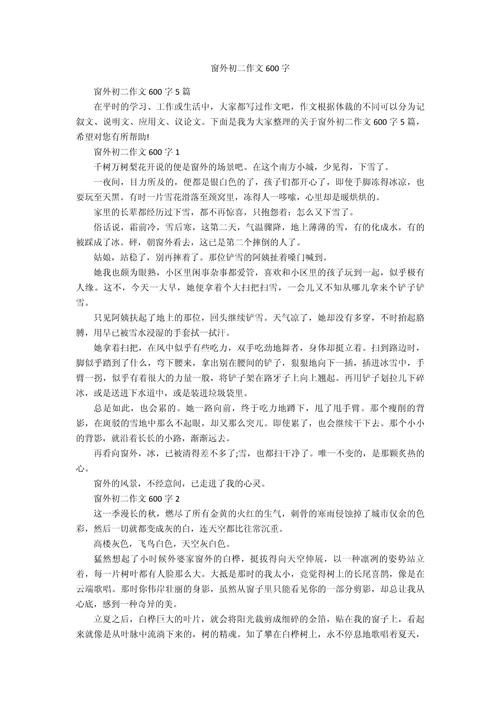 初中作文《窗外》600字