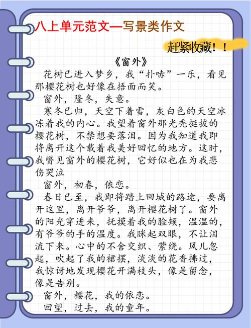 初中作文《窗外》600字