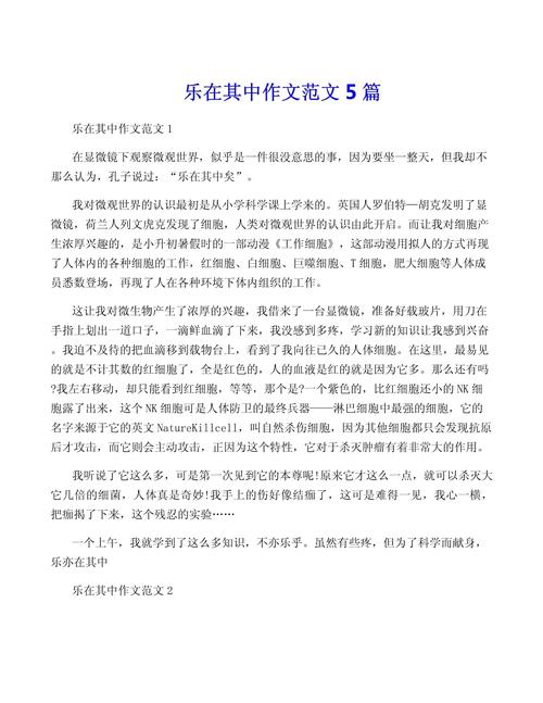 乐在其中作文600字初中