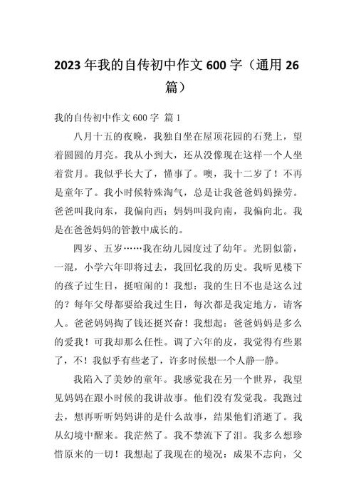 自传作文600字初中男生