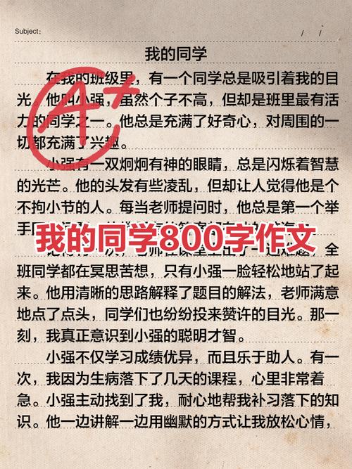 同学之间作文800字初中