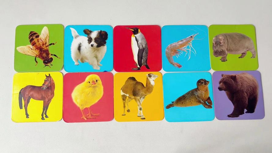 早教认知游戏认识动物