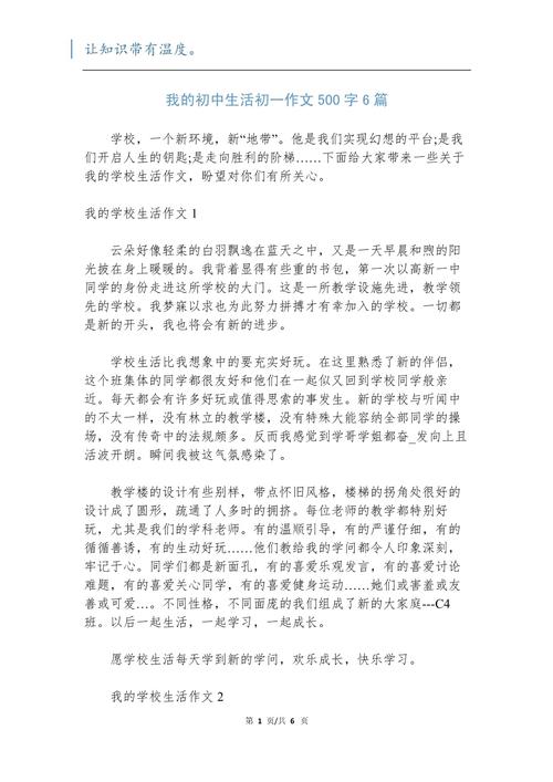 我的初中生活500字作文