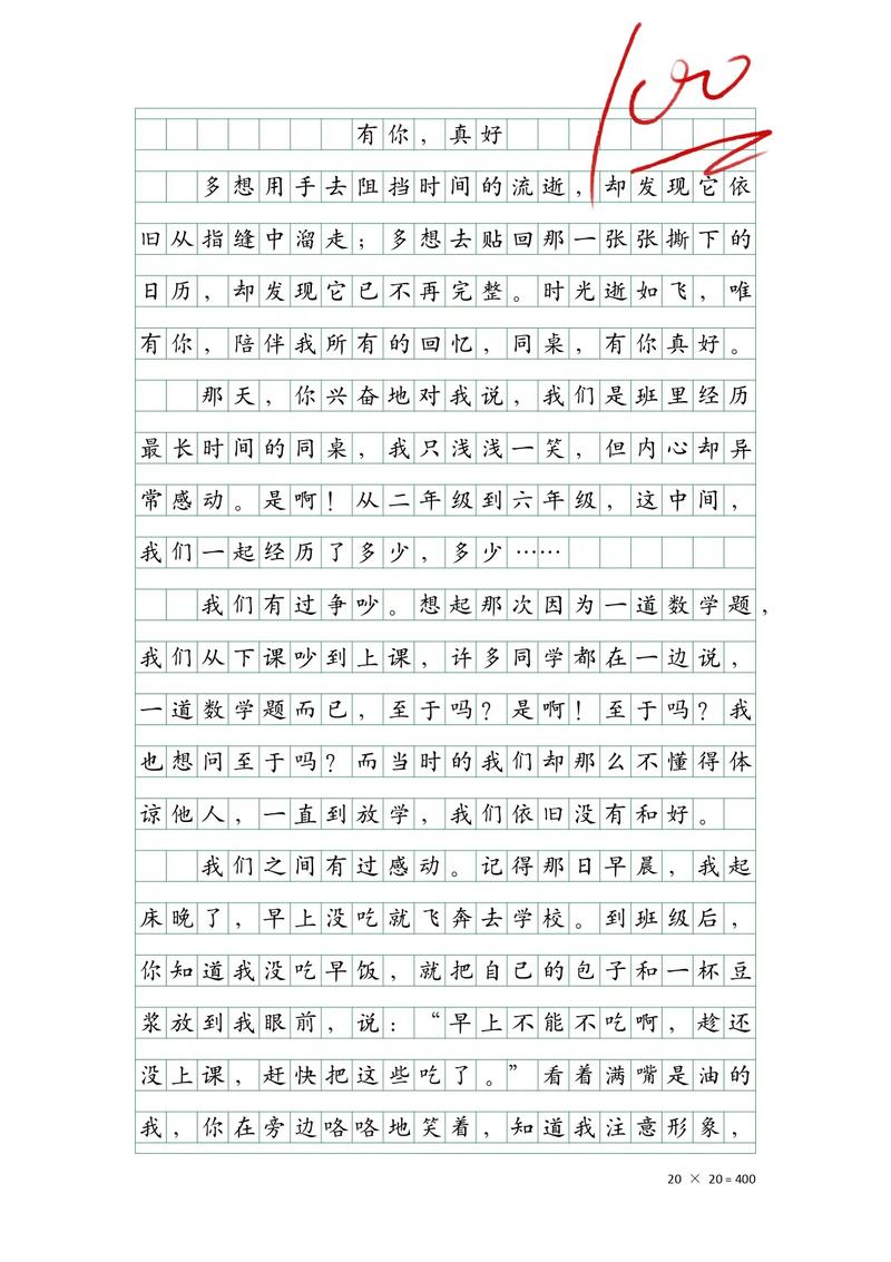 同桌的你初中作文800字