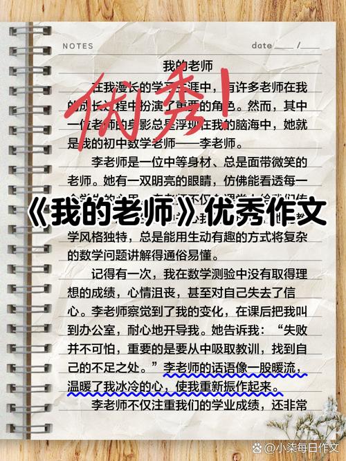 我的老师500字作文初中