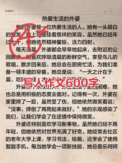 写人优秀作文600字初中