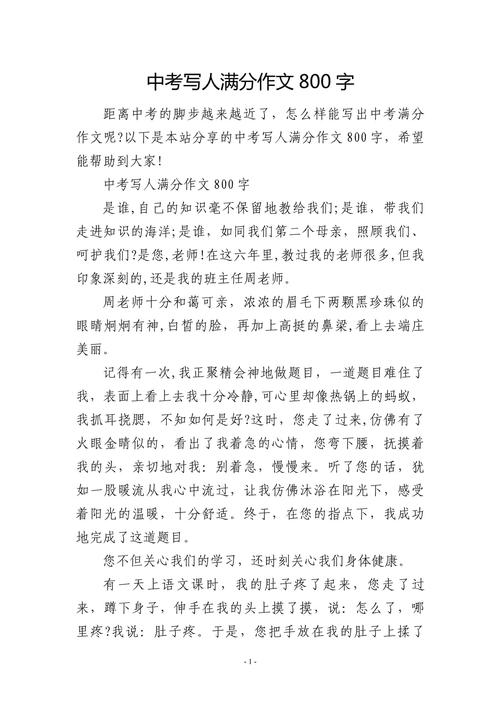 初中满分作文800字叙事