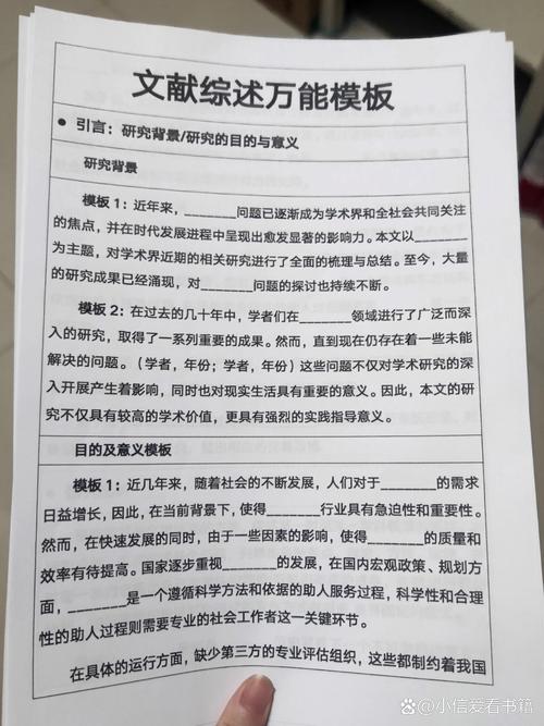 早教中心文献综述总结