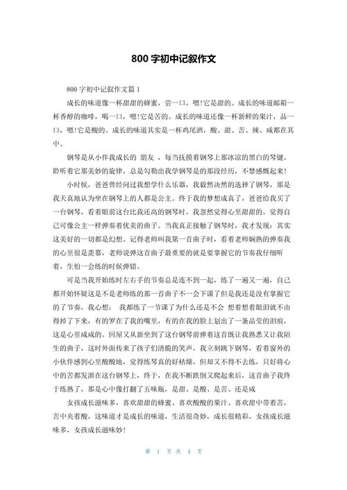 我的初中时代作文800字