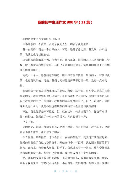 我的初中时代作文800字