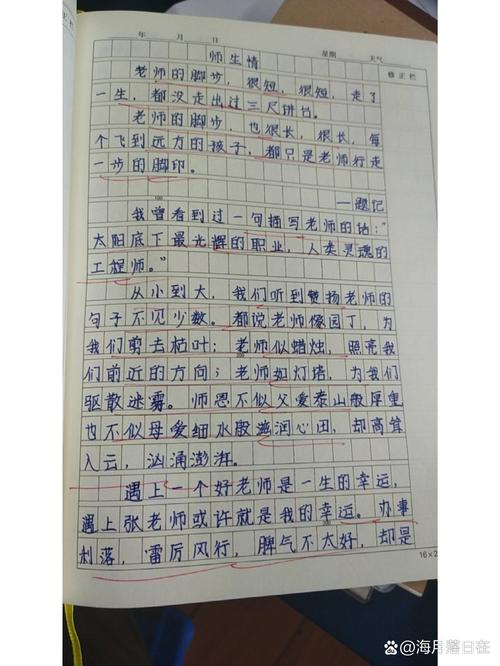 师生之间作文800字初中