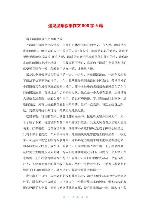 优秀叙事作文800字初中