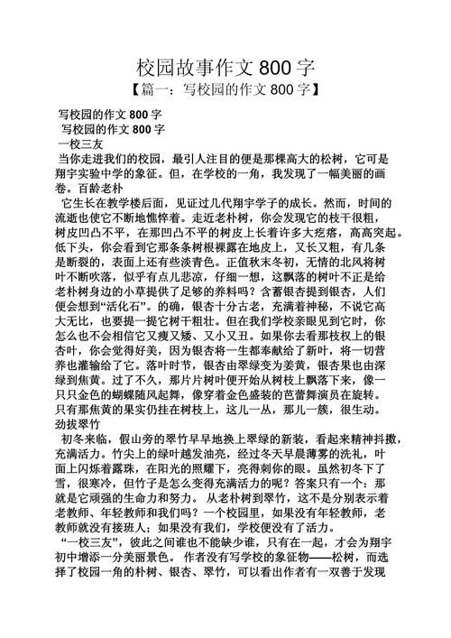 校园趣事800字初中作文