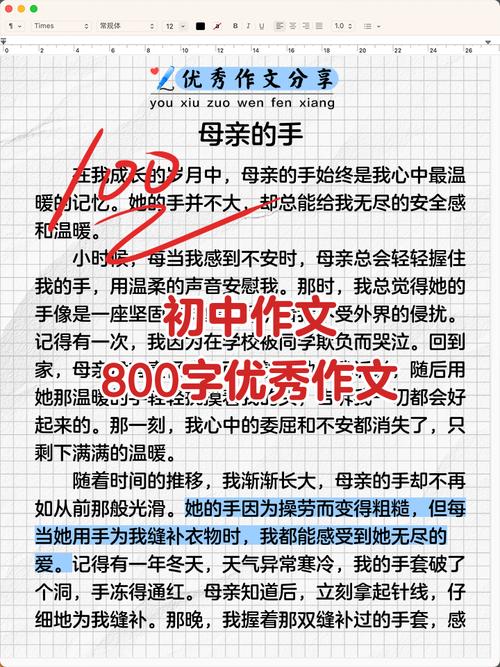 初中优秀作文800字大全