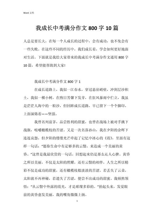 初中优秀作文800字大全