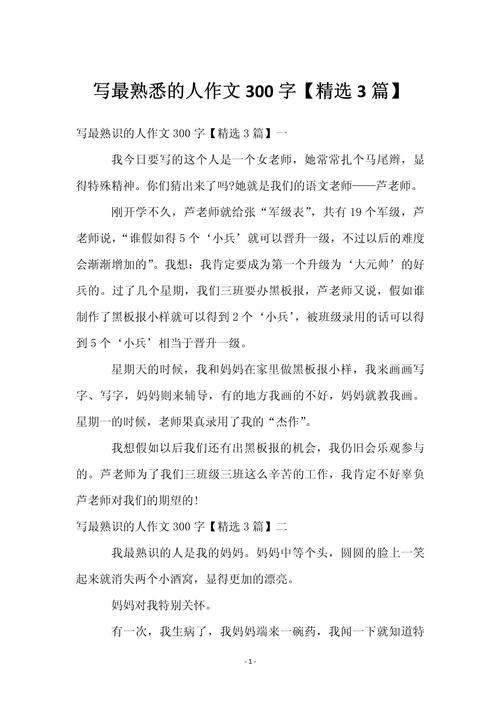 初中人物描写片段300字