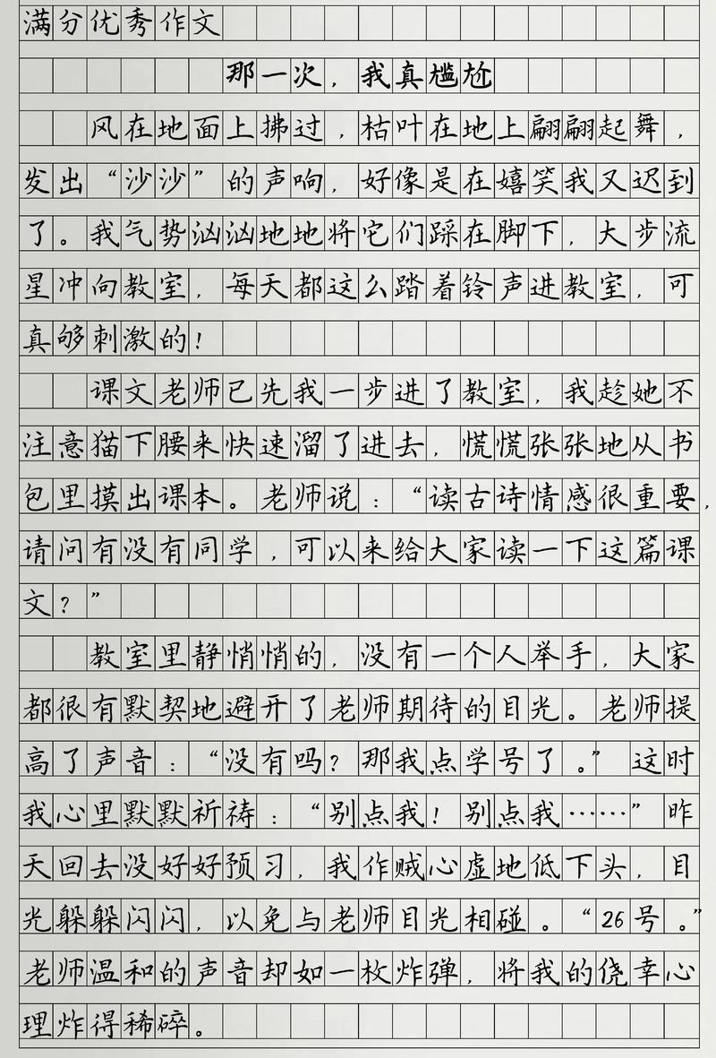 满分优秀作文600字初中