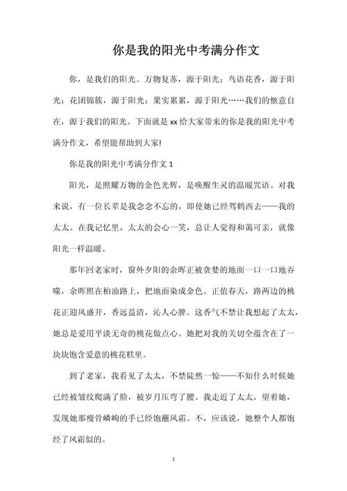 你是我的太阳600字初中