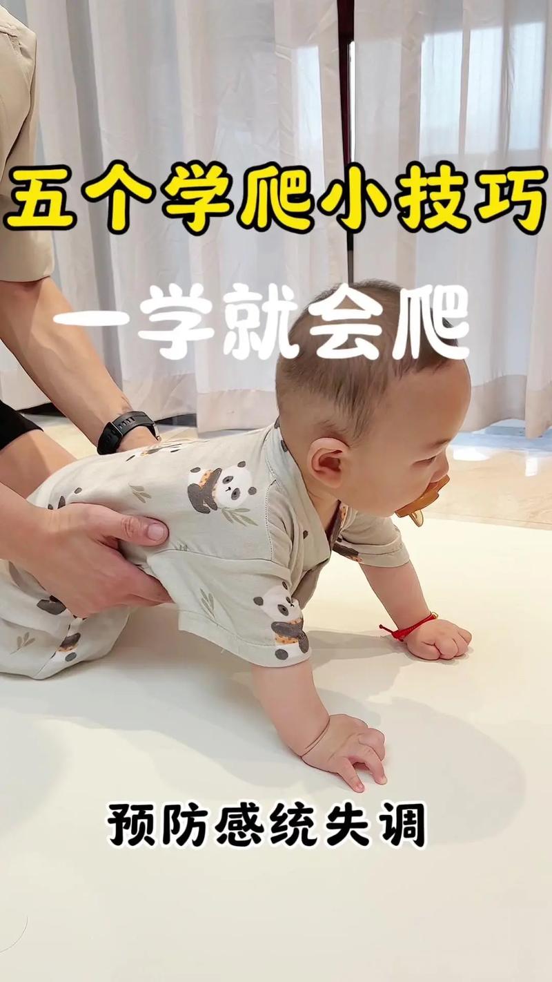 早教幼儿爬行活动指导